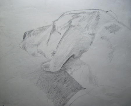Dog tired