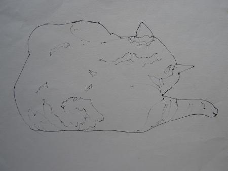 Cat nap