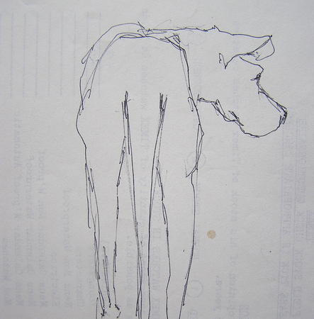 Watchful Dane