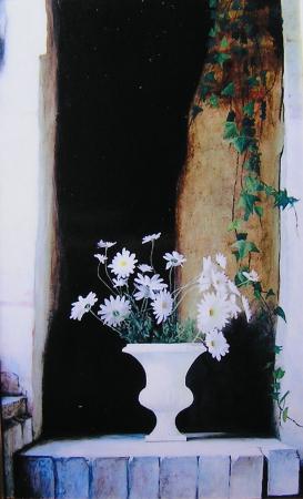 Daisies from Sue
