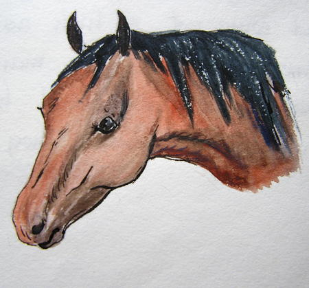 Young Pony