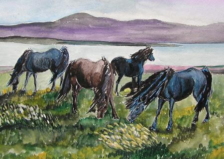 Shetland Ponies
