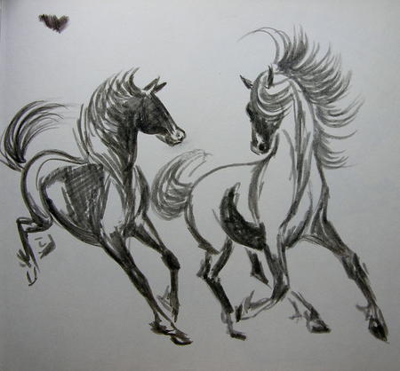 A Frolic!