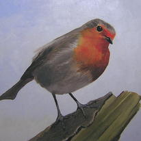 Robin