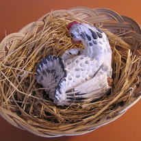 Bantam and chicks