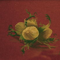 Nut Cluster