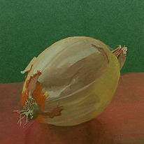 Portrait of an Onion