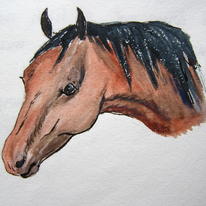 hidden Young Pony