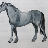 hidden A Fell is a fine Pony