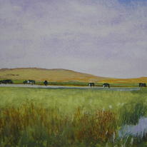 hidden Grazing in Norfolk