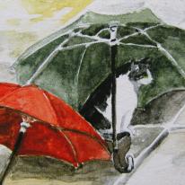 hidden Polly's Brollies