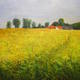 Norfolk Summer