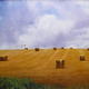 Harvest Supper