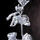 Geranium tip