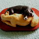 Sleepy Puppies