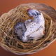 Bantam and chicks