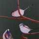 Inquisitive Longtails