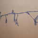 Beech twig