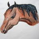 Young Pony