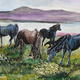 Shetland Ponies