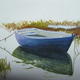 Calm Waters