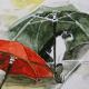 Polly's Brollies