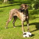 Bend em like Beckham…