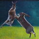 Hare ballet