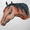 Young Pony