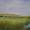 Grazing in Norfolk
