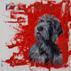 Who me? | | | Mixed media on board with high gloss finish in red gloss frame Who me?