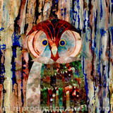 Wise Owl? - Acrylic collage