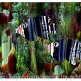 Angel Fish - Acrylic collage