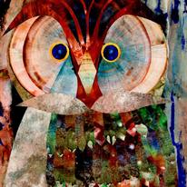 Wise Owl