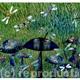 Dragonflies