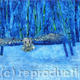 Winter Owl