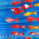Tropical Fish