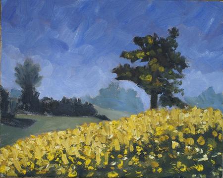 Spring Fields and Tree