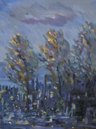 Soft Light, Autumn