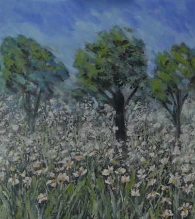 Daisy Medow