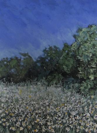 High Summer Meadow