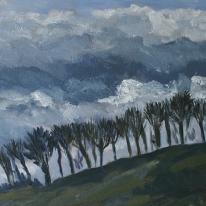 Trees and Billowing Sky