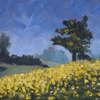 Spring Fields and Tree