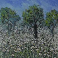Daisy Medow