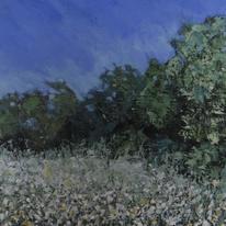 High Summer Meadow