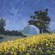 Spring Fields and Tree