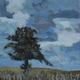 Lone Tree and Billowing… | £80 | | Oil on Canvas Lone Tree and Billowing…