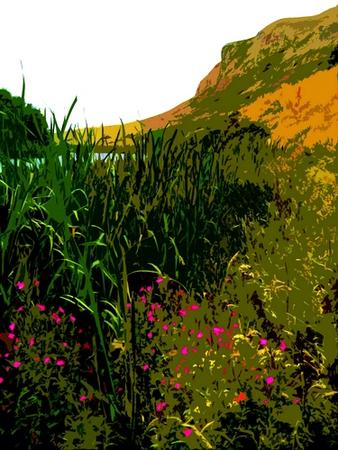 Water meadow