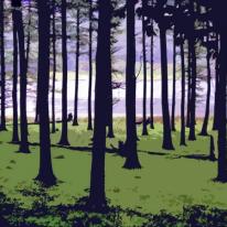 Buttermere woodland
