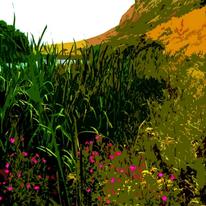 Water meadow